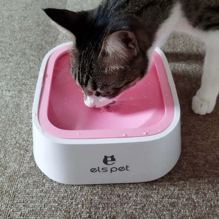 Pet Hydration